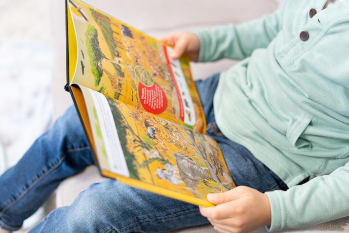 National Geographic Kids: Discover Animals Look and Find - PI Kids - Pi Kids [KSIĄŻKA]