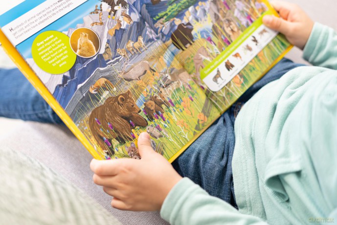 National Geographic Kids: Discover Animals Look and Find - PI Kids - Pi Kids [KSIĄŻKA]