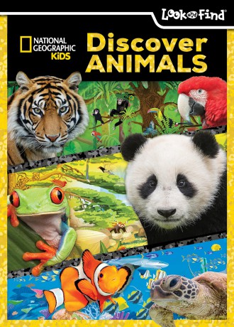 National Geographic Kids: Discover Animals Look and Find - PI Kids - Pi Kids [KSIĄŻKA]