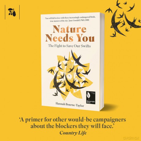 Nature Needs You: The Fight to Save Our Swifts - H Bourne-Taylor [KSIĄŻKA]