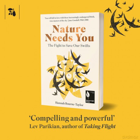 Nature Needs You: The Fight to Save Our Swifts - H Bourne-Taylor [KSIĄŻKA]