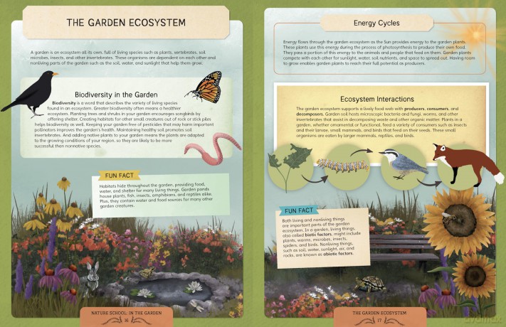 Nature School: In the Garden: Lessons and Activities to Cultivate Children's Connection to the Natural World - S Et Al Hathaway [KSIĄŻKA]