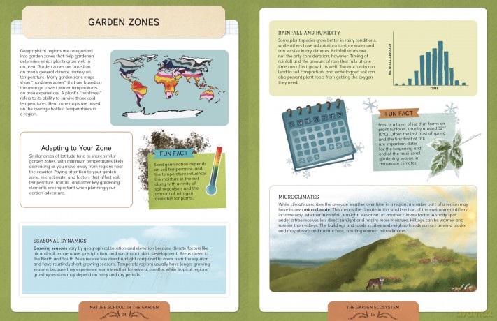 Nature School: In the Garden: Lessons and Activities to Cultivate Children's Connection to the Natural World - S Et Al Hathaway [KSIĄŻKA]
