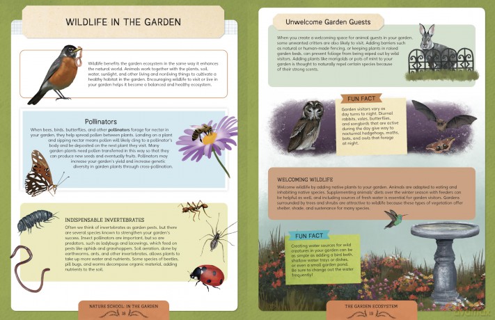 Nature School: In the Garden: Lessons and Activities to Cultivate Children's Connection to the Natural World - S Et Al Hathaway [KSIĄŻKA]