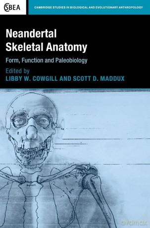 Neandertal Skeletal Anatomy: Form, Function and Paleobiology (Cambridge Studies in Biological and Evolutionary Anthropology) - Libby W. Cowgill [KSIĄŻKA]