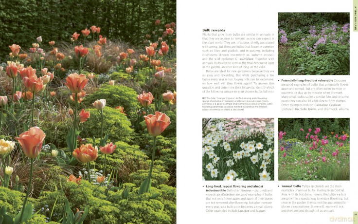 New Small Garden: Contemporary principles, planting and practice - Noel Kingsbury [KSIĄŻKA]