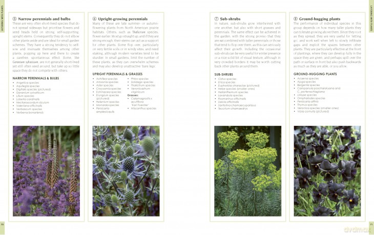 New Small Garden: Contemporary principles, planting and practice - Noel Kingsbury [KSIĄŻKA]