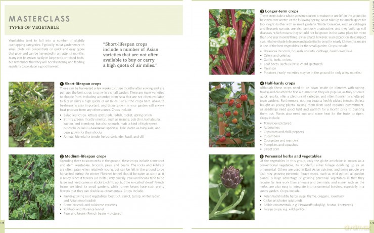 New Small Garden: Contemporary principles, planting and practice - Noel Kingsbury [KSIĄŻKA]