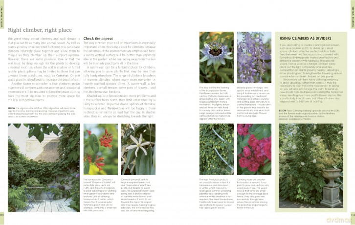 New Small Garden: Contemporary principles, planting and practice - Noel Kingsbury [KSIĄŻKA]