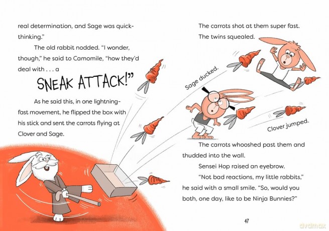 Ninja Bunnies vs the Big Bad Fox: Book 1: A hilarious and colourful adventure story - Jake Hopkins [KSIĄŻKA]