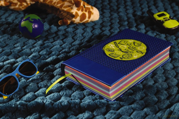 NIrV, Tiny Theologians Bible, Leathersoft over Board, Blue, Comfort Print: A Beginner's Guide to the Bible - for Kids - Gannett Amy [KSIĄŻKA]