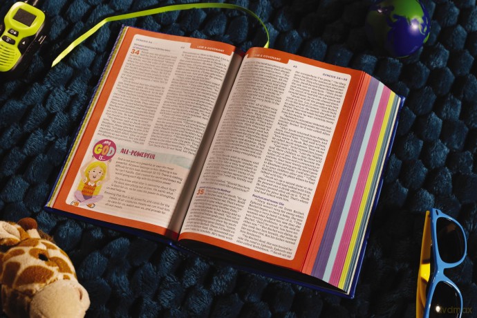 NIrV, Tiny Theologians Bible, Leathersoft over Board, Blue, Comfort Print: A Beginner's Guide to the Bible - for Kids - Gannett Amy [KSIĄŻKA]