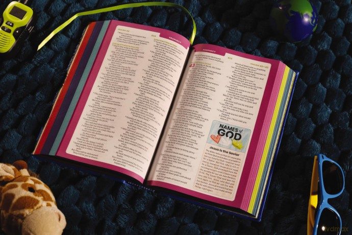 NIrV, Tiny Theologians Bible, Leathersoft over Board, Blue, Comfort Print: A Beginner's Guide to the Bible - for Kids - Gannett Amy [KSIĄŻKA]