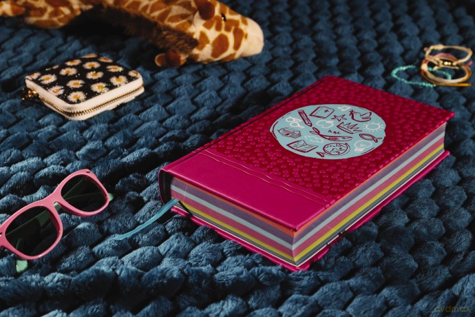 NIrV, Tiny Theologians Bible, Leathersoft over Board, Pink, Comfort Print: A Beginner's Guide to the Bible - for Kids - Gannett Amy [KSIĄŻKA]