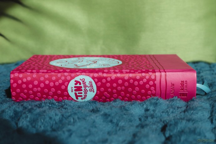NIrV, Tiny Theologians Bible, Leathersoft over Board, Pink, Comfort Print: A Beginner's Guide to the Bible - for Kids - Gannett Amy [KSIĄŻKA]