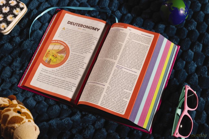 NIrV, Tiny Theologians Bible, Leathersoft over Board, Pink, Comfort Print: A Beginner's Guide to the Bible - for Kids - Gannett Amy [KSIĄŻKA]