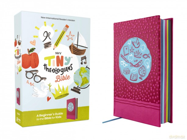 NIrV, Tiny Theologians Bible, Leathersoft over Board, Pink, Comfort Print: A Beginner's Guide to the Bible - for Kids - Gannett Amy [KSIĄŻKA]