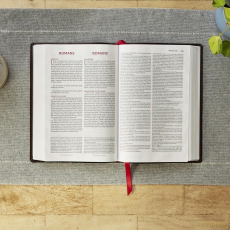 NKJV-NET Parallel New Testament with NET Translators' Notes, Black Leathersoft, Red Letter, Comfort Print: Unparalleled Insights with over 16,000 Translator Notes [KSIĄŻKA]