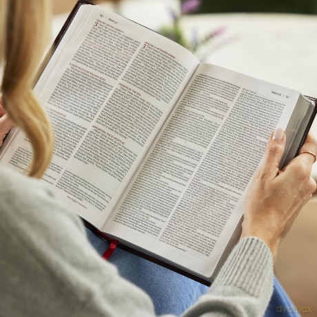 NKJV-NET Parallel New Testament with NET Translators' Notes, Hardcover, Red Letter, Comfort Print: Unparalleled Insights with over 16,000 Translator Notes [KSIĄŻKA]