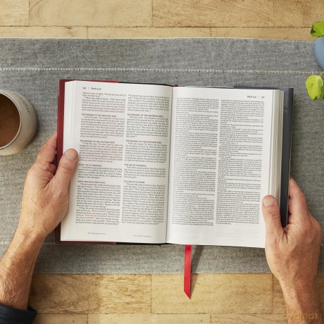 NKJV-NET Parallel New Testament with NET Translators' Notes, Hardcover, Red Letter, Comfort Print: Unparalleled Insights with over 16,000 Translator Notes [KSIĄŻKA]