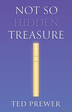 Not So Hidden Treasure - Prewer Ted [KSIĄŻKA]