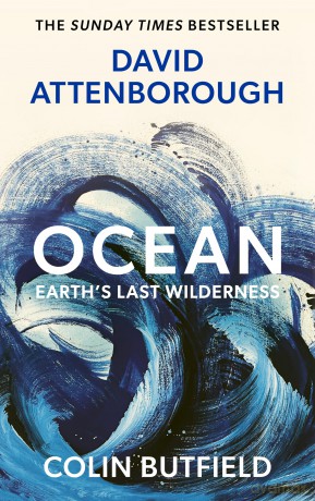 Ocean: Earth's Last Wilderness - THE LANDMARK NEW BOOK BY DAVID ATTENBOROUGH - David Attenborough [KSIĄŻKA]