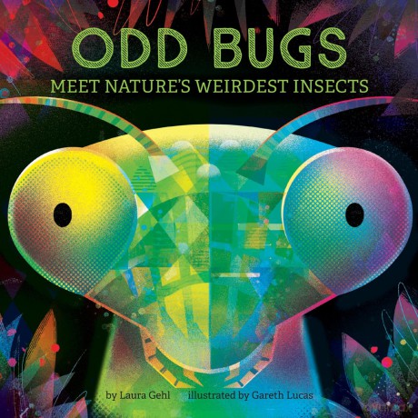 Odd Bugs (A Curious Crittters Board Book): Meet Nature's Weirdest Insects - Laura Gehl [KSIĄŻKA]