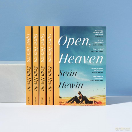 Open, Heaven: The heartbreaking and bestselling novel about how a first love can shape a whole life - Sean Hewitt [KSIĄŻKA]