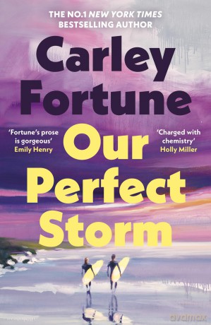 Our Perfect Storm: The instant #1 New York Times bestseller from the queen of sweeping and emotional summer romance - Carley Fortune [KSIĄŻKA]