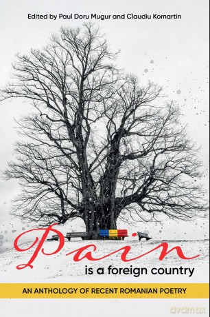 Pain Is a Foreign Country: An Anthology of Recent Romanian Poetry - Paul Doru Mugur [KSIĄŻKA]