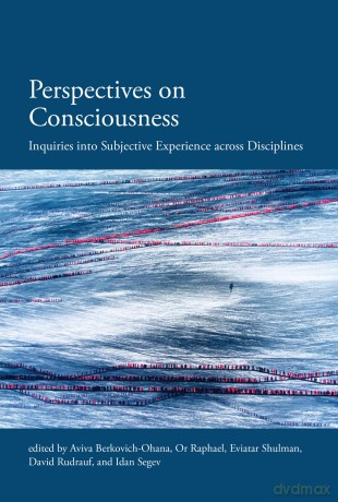Perspectives on Consciousness and Experience: Inquiries into Subjective Experience across Disciplines - Idan Segev [KSIĄŻKA]