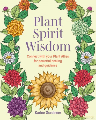 Plant Spirit Wisdom: Connect with your Plant Allies for powerful healing and guidance - Karine Gordineer [KSIĄŻKA]