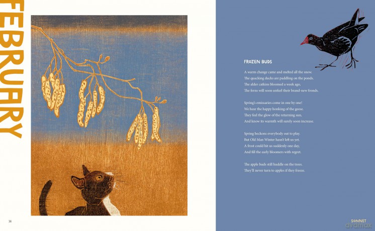 Poems for Every Season - Bette Westera [KSIĄŻKA]