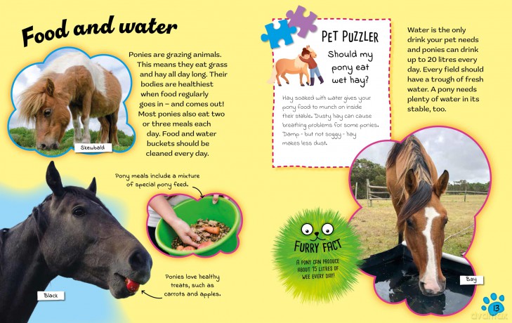 Ponies (Cute Pets! And How to Care For Them) - Ruth Percival [KSIĄŻKA]