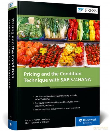 Pricing and the Condition Technique W/ Sap S/4hana - Becker [KSIĄŻKA]