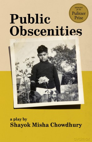 Public Obscenities - Shayok Mi Chowdhury [KSIĄŻKA]