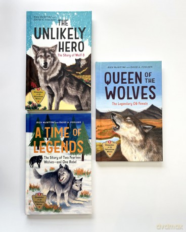 Queen of the Wolves: The Legendary 06 Female: 3 (Chronicles of the Yellowstone Wolves, 3) [KSIĄŻKA]