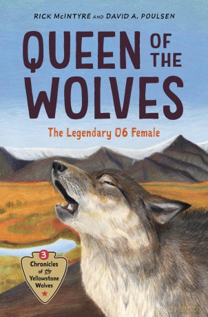 Queen of the Wolves: The Legendary 06 Female: 3 (Chronicles of the Yellowstone Wolves, 3) [KSIĄŻKA]
