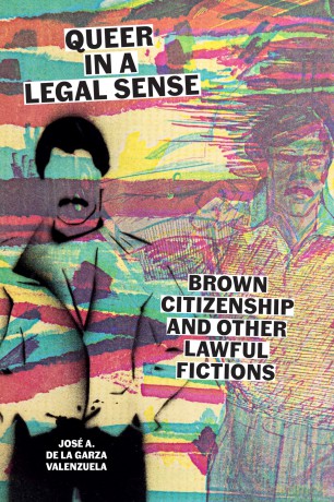 Queer in a Legal Sense: Brown Citizenship and Other Lawful Fictions [KSIĄŻKA]