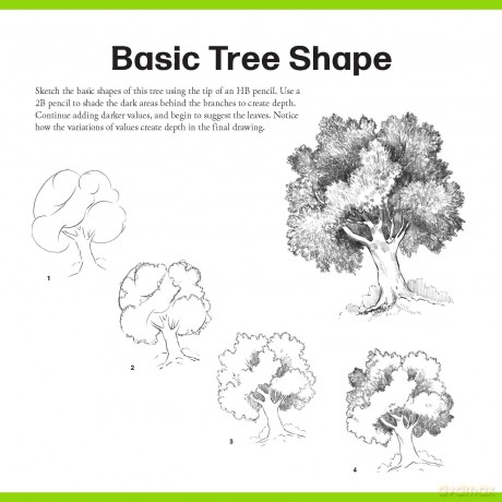 Quick Start Drawing Basics: The quickest way to start drawing! Step-by-step exercises, Traceable starter sketches, Removable pages (Big School of Drawing) - Walter Foster Creati [KSIĄŻKA]