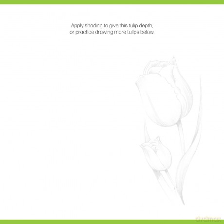 Quick Start Drawing Basics: The quickest way to start drawing! Step-by-step exercises, Traceable starter sketches, Removable pages (Big School of Drawing) - Walter Foster Creati [KSIĄŻKA]
