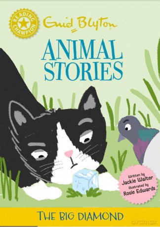 Reading Champion: Enid Blyton Animal Stories: The Big Diamond: Yellow Band 3 - Jackie Walter [KSIĄŻKA]