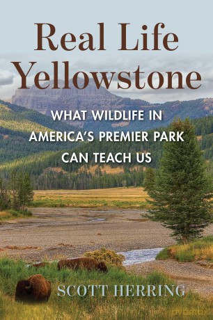 Real Life Yellowstone: What Wildlife in America's Premier Park Can Teach Us - S Herring [KSIĄŻKA]