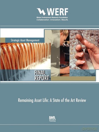 Remaining Asset Life: A State of the Art Review (WERF Research Report Series) - David Et Al Marlow [KSIĄŻKA]