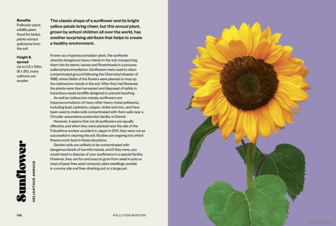 RHS Happy Plants: 100 things to grow to make you smile, and how to make them happy too - Zia Allaway [KSIĄŻKA]