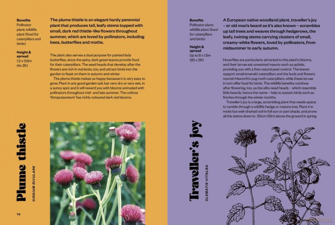 RHS Happy Plants: 100 things to grow to make you smile, and how to make them happy too - Zia Allaway [KSIĄŻKA]
