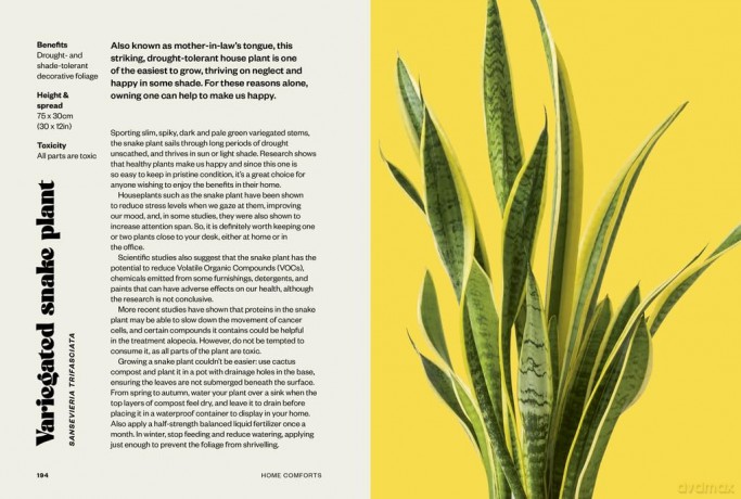 RHS Happy Plants: 100 things to grow to make you smile, and how to make them happy too - Zia Allaway [KSIĄŻKA]