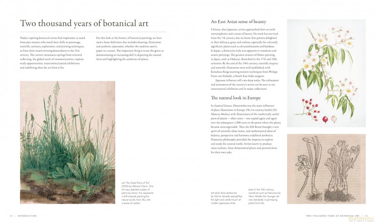 RHS Watercolour Botanical Art: A Practical Guide for Artists - Sarah Howard [KSIĄŻKA]