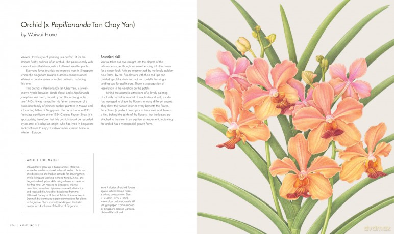 RHS Watercolour Botanical Art: A Practical Guide for Artists - Sarah Howard [KSIĄŻKA]