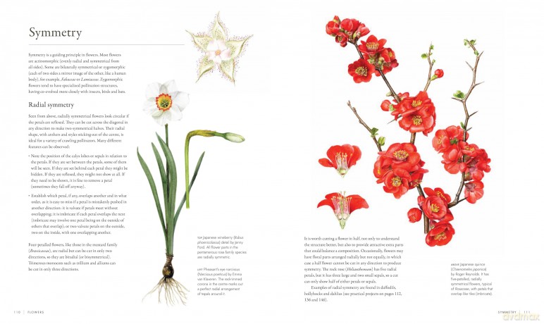 RHS Watercolour Botanical Art: A Practical Guide for Artists - Sarah Howard [KSIĄŻKA]